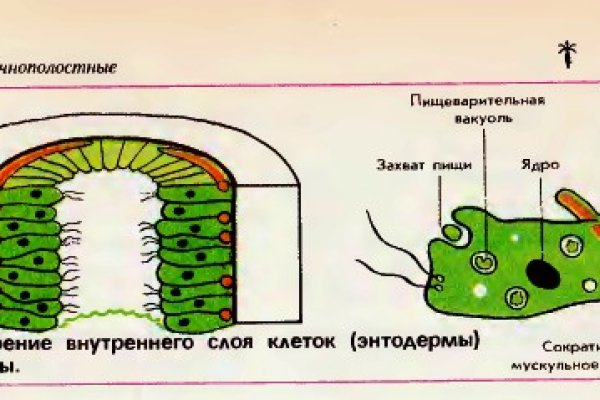 Не работает сайт kraken