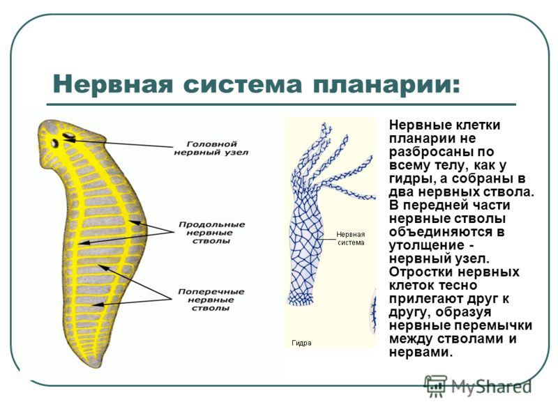 Вход на кракен зеркало